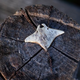 Manta I