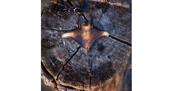 Manta I
