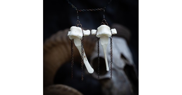 Season of the Witch