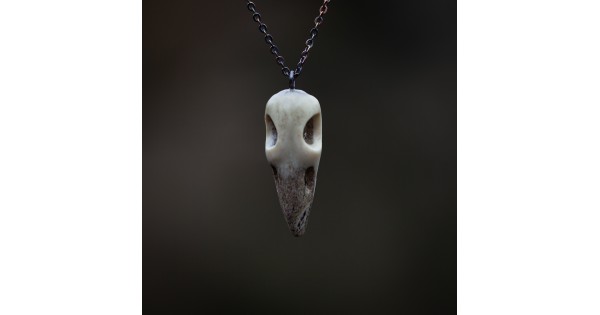 Ptačí lebka č. 2