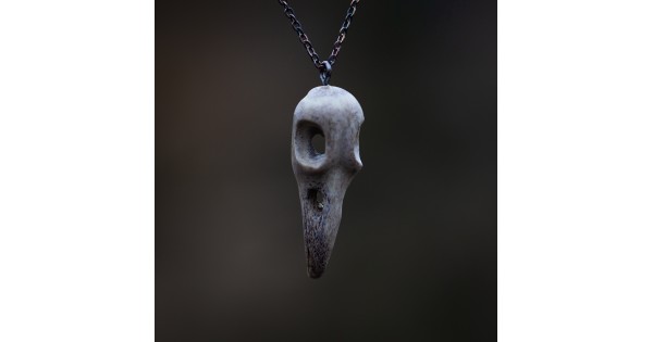 Ptačí lebka č. 4