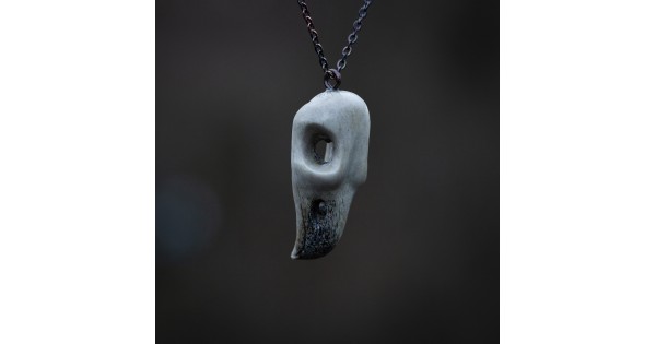 Ptačí lebka č. 5