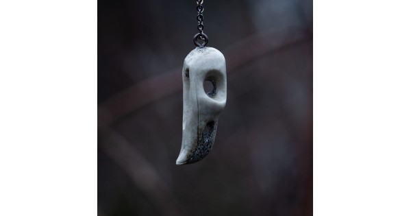 Ptačí lebka č. 5