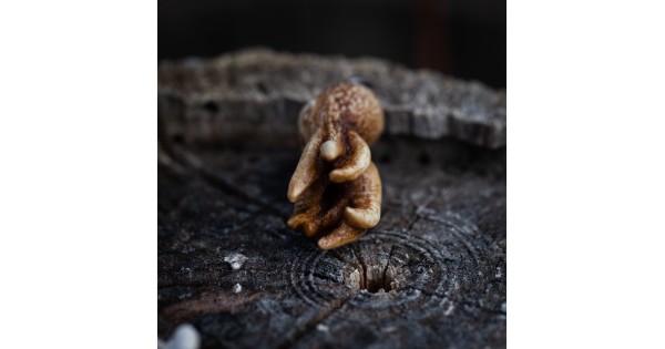 Baby Cthulhu