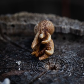 Baby Cthulhu