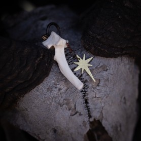 Náušnice North star