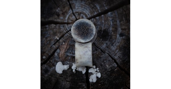 Plugy 17 mm