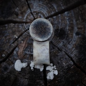 Plugy 17 mm