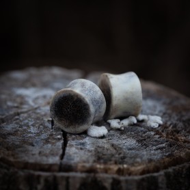 Plugy 17 mm
