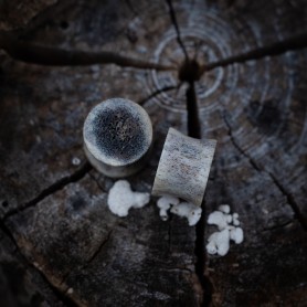 Plugy 15 mm