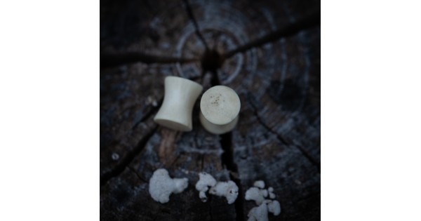 Plugy 8 mm