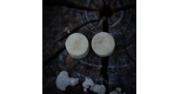 Plugy 8 mm