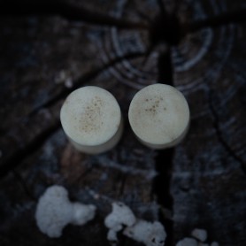 Plugy 8 mm