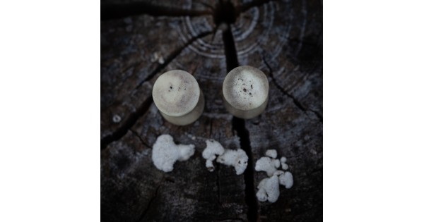 Plugy 10 mm