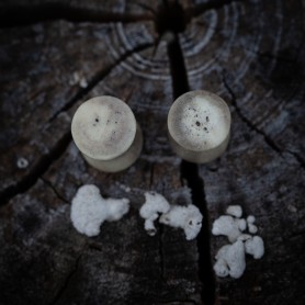 Plugy 10 mm