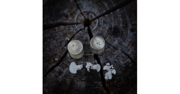 Plugy 10 mm
