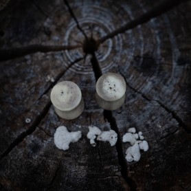 Plugy 10 mm