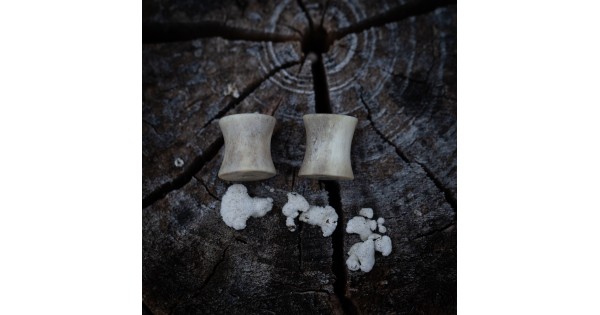 Plugy 10 mm