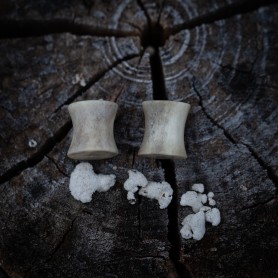 Plugy 10 mm