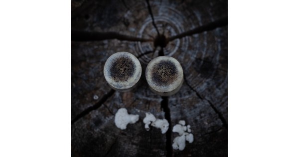 Plugy 14 mm