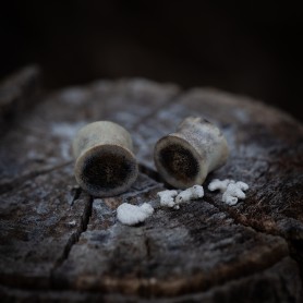 Plugy 14 mm