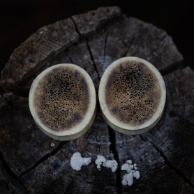 Plugy 33 mm organické