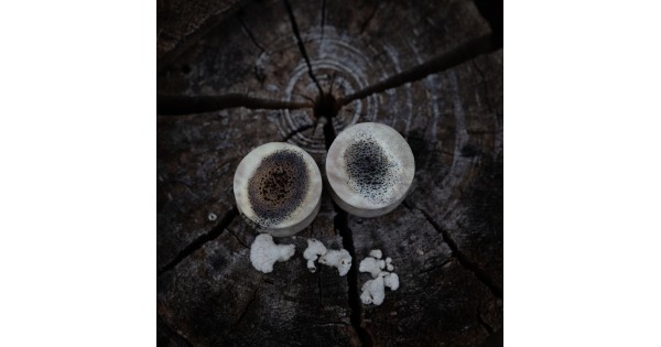 Plugy 18 mm