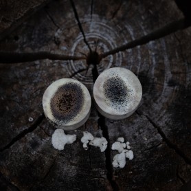 Plugy 18 mm