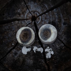Plugy 18 mm