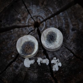 Plugy 18 mm