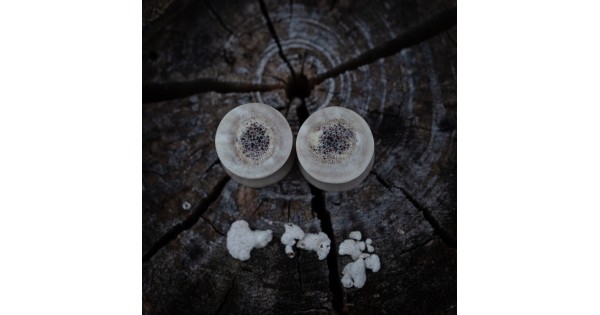 Plugy 15 mm