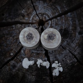 Plugy 15 mm