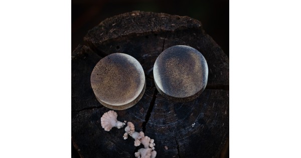 Plugy 30 mm