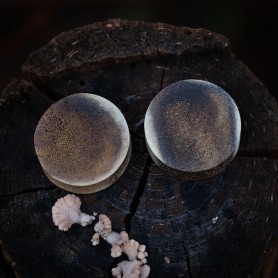 Plugy 30 mm
