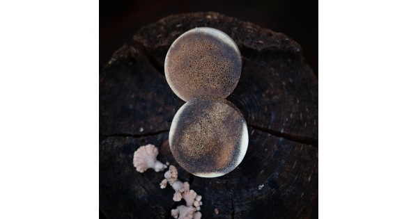 Plugy 30 mm