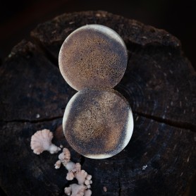 Plugy 30 mm