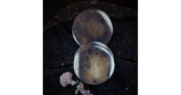 Plugy 30 mm