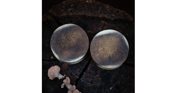 Plugy 30 mm