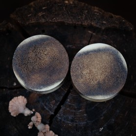 Plugy 30 mm