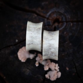 Tunely 22 mm