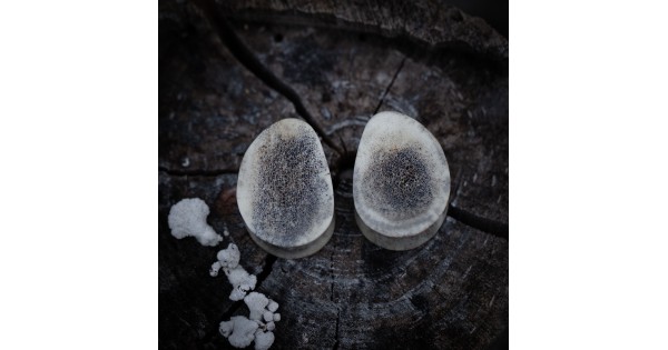 Plugy 24 mm organické