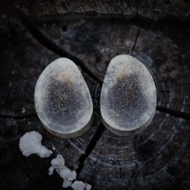 Plugy 24 mm organické