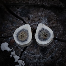 Plugy 21 mm organické