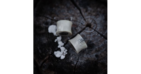 Plugy 15 mm
