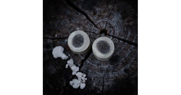 Plugy 15 mm