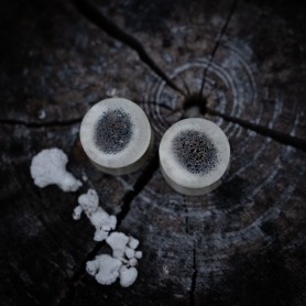 Plugy 15 mm