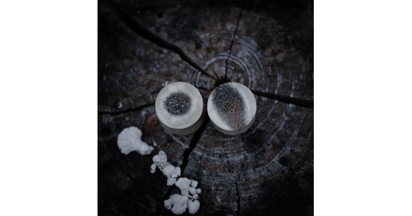 Plugy 15 mm