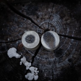 Plugy 15 mm