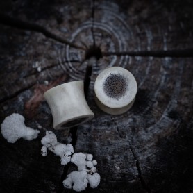 Plugy 12 mm