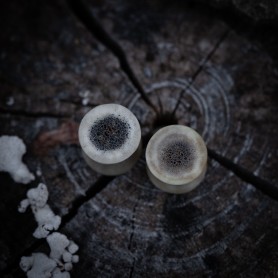 Plugy 12 mm
